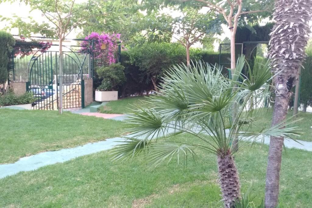 Apartamento Moderno Μπένιντορμ Εξωτερικό φωτογραφία